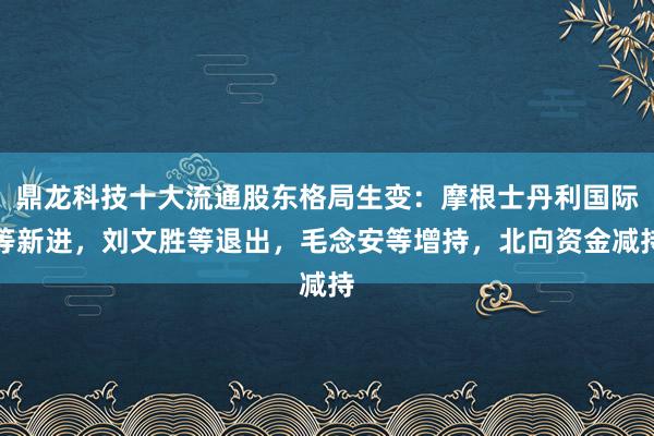 鼎龙科技十大流通股东格局生变：摩根士丹利国际等新进，刘文胜等退出，毛念安等增持，北向资金减持