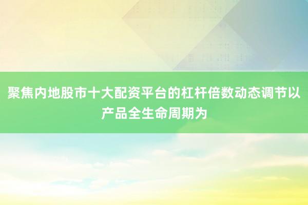 聚焦内地股市十大配资平台的杠杆倍数动态调节以产品全生命周期为