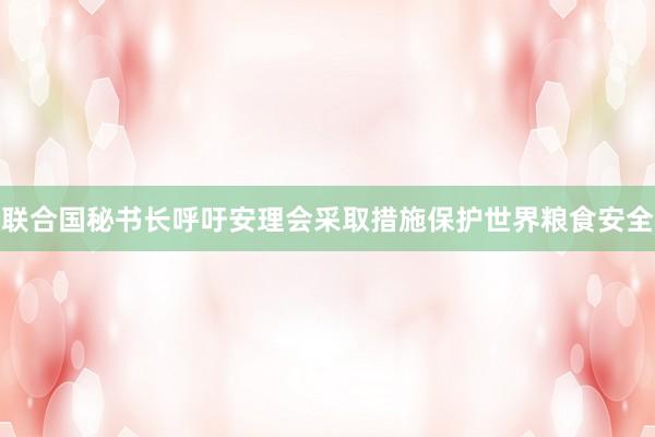 联合国秘书长呼吁安理会采取措施保护世界粮食安全