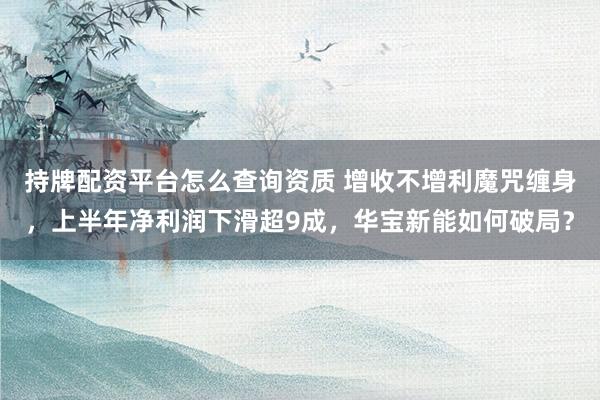持牌配资平台怎么查询资质 增收不增利魔咒缠身，上半年净利润下滑超9成，华宝新能如何破局？
